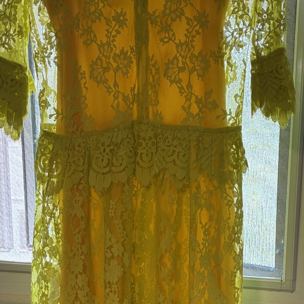 J Crew lemon yellow lace dress NWT - drop waist lined Size 4. - Picture 3 of 6